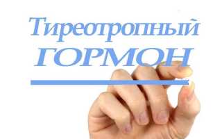 Гормон ТТГ щитовидной железы