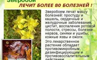 Зверобой повышает или понижает давление?