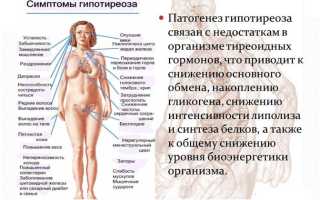 Гипотиреоз щитовидной железы — распространенная патология эндокринной системы