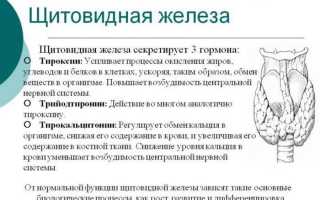 Какая норма щитовидной железы у женщин?