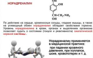 Все, что вы хотели знать о норадреналине